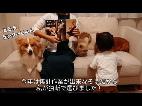 【ご報告！】お久しぶりです🐾