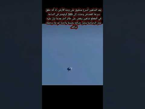أسرع مخلوق على وجه الارض #معلومات #هل_تعلم #حقائق