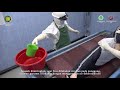 Notificações e Inscrições no YouTube