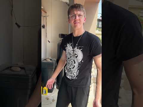 He always does this… #funny #shorts #cars