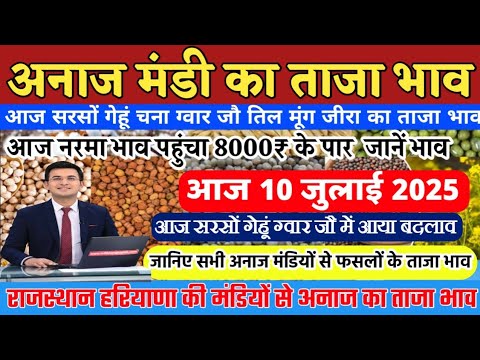 अनाज मंडी भाव ll आज नरमा पहुंचा 8000 रुपए प्रति क्विंटल पार ll सरसों गेहूं ग्वार में जौ आया बदलाव,