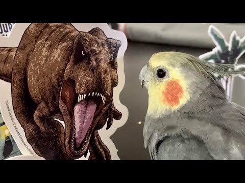 Jurassic Birb