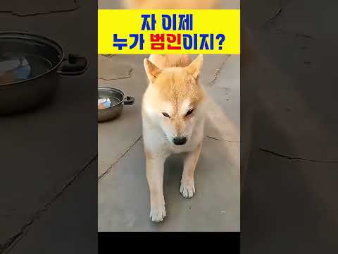 자 이제 누가 범인이지?