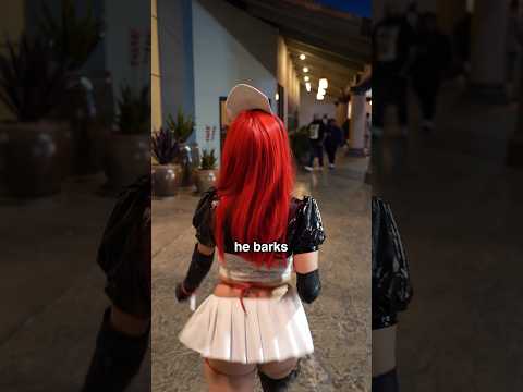 He barks. WHERE!?