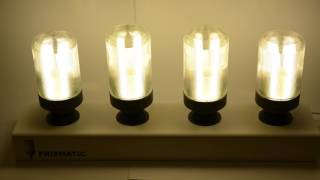 4 PHILIPS *SL bulbs starting up