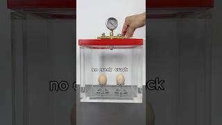 Vacuum vs Eggs