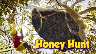 GIANT Honey COMB Hunting | ராட்சத மலைத்தேன் வேட்டை | #WILDHONEY | TAMIL NATIVE FARMER | #purehoney