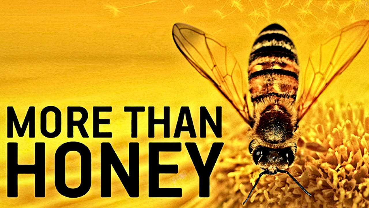 More than Honey - Bitterer Honig Vorschaubild des Trailers