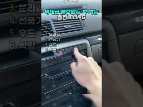 역대급 쓸모없는 차 기능