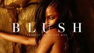 Omah Lay x Rema Type Beat 2026 – "Blush" | Afrobeat x Wizkid Instrumental