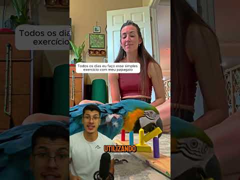 essa mulher quer ensinar seu papagaio completar o desafio #animais #desafio #papagaio #brincadeira