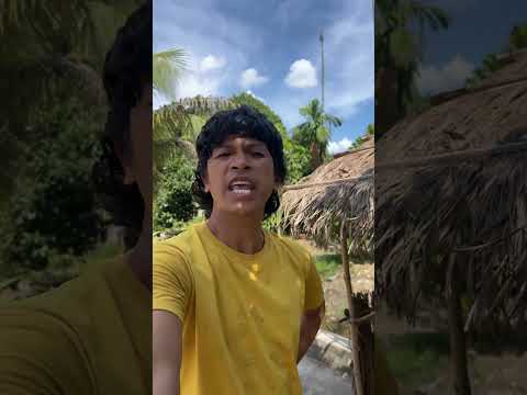 Chén rữa xong mới được đi chơi #haibadane #cocacafeken #funny #kuty2509