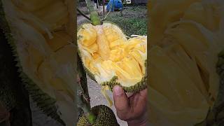 #shorts #viral #fruit #food #trending