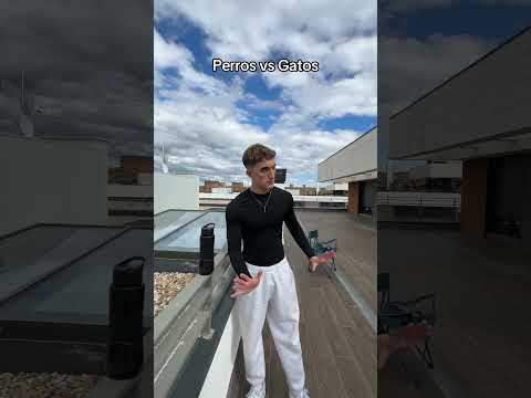 Perros Vs Gatos #shorts #viral