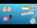 Noun Formation and Nominalization