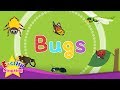 Insect Characteristics and Behaviors