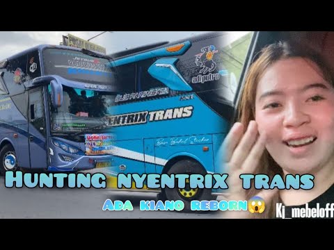 HUNTING BUS VIRALLL BASURI TERBARU DI YOGYAKARTA