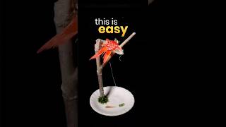 I made a KITE from this Fish...