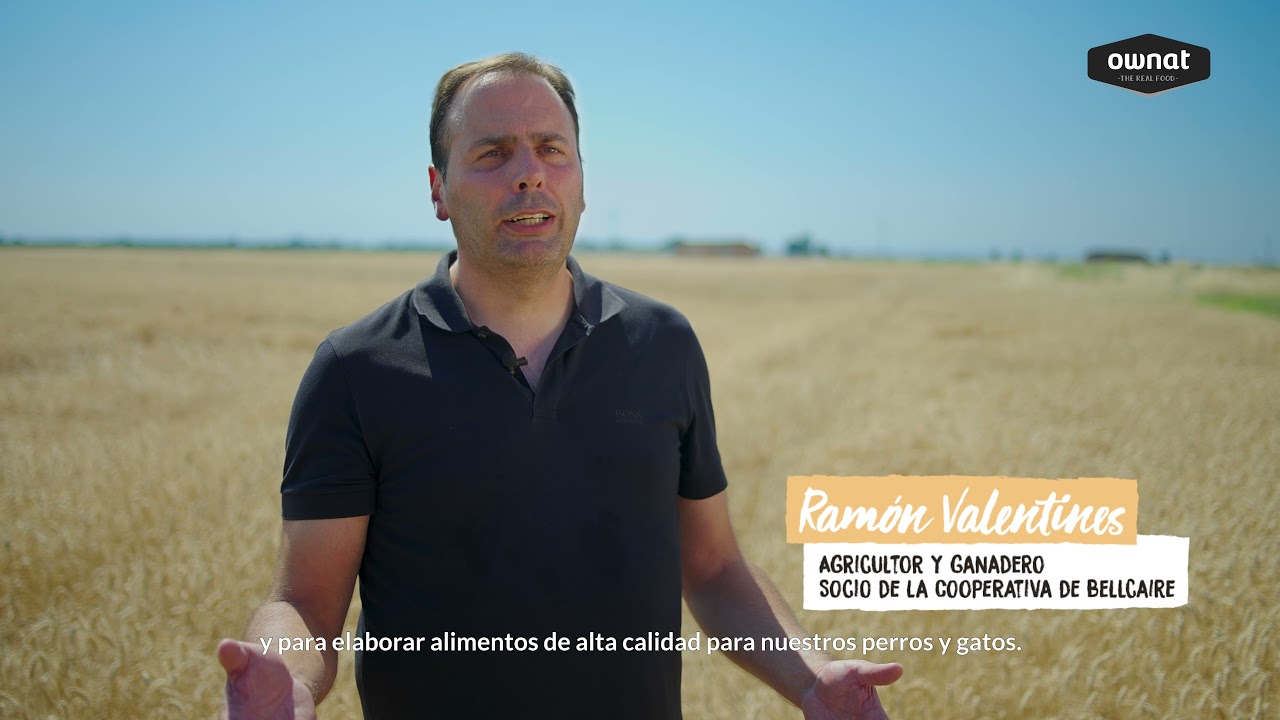 Video Comida para Animales de Ownat Distribución Alicante