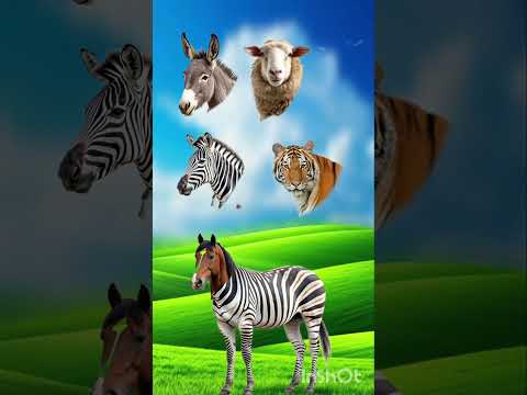 #cow #animation #cartoon #funny #comedy #viralvideo #trending #animals #funnyvideo #cowcartoon