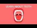 Oral Health and Dental Care