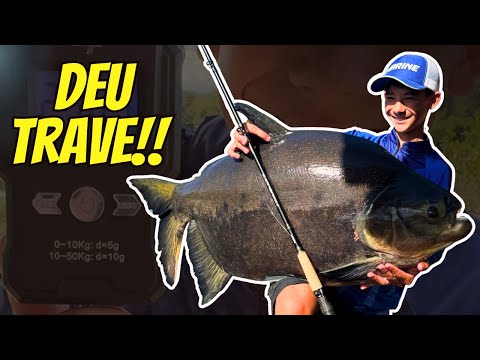 GELEIA DE MOCOTÓ PEGA PEIXE GRANDE NO OLIVEIRA