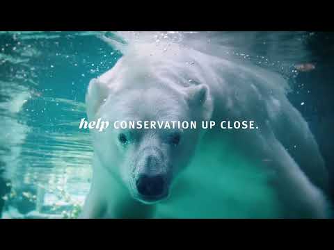 Get a Zoo Perspective on Conservation Commercial