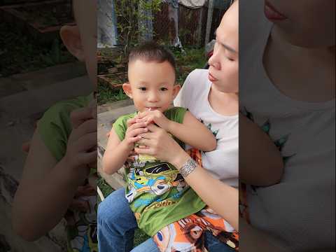 Báo nữa rồi #funny #shortvideo #giaitri