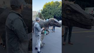#shorts Mike Ferguson attends the Los Angeles premiere of "Primitive War" at #Hollywood #losangeles