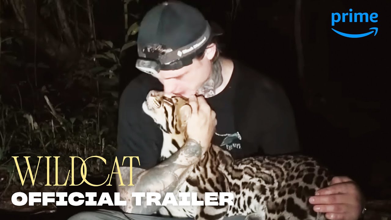 Wildcat anteprima del trailer