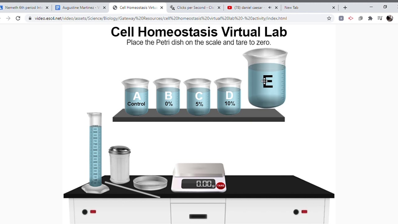 Cell Homeostasis Virtual Lab Activity: Exploring the Intricacies of Cellular Balance