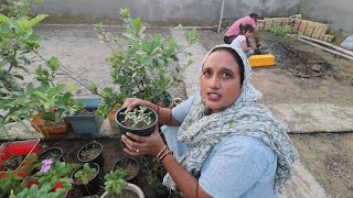 एक एक पैसा जोड़ कर अब इस घर को भी सजाना है😔up village kitchen garden | Pal Family Vlogs