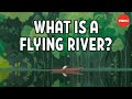 Flying Rivers and Indigenous Conservation