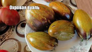Томатный разбор! Что получилось в этом году — честный разбор урожая!
