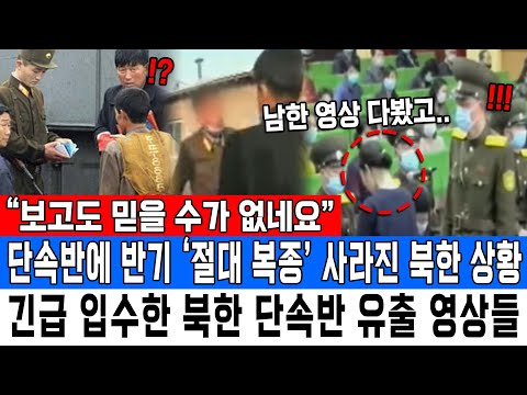 “보고도 믿을 수가 없네요”단속반에 반기 ‘절대 복종’ 사라진 북한 상황긴급 입수한 북한 단속반 유출 영상들