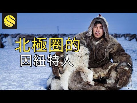 因紐特人在北極圈生存了數千年之久，他們吃什麼食物維持生活，為何被迫屢次搬家？ - YouTube