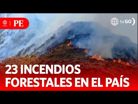 23 incendios forestales en el país | Primera Edición | Noticias Perú