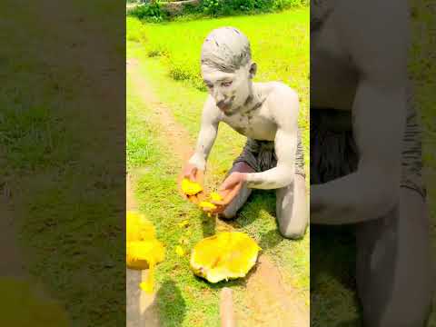 Untitled video