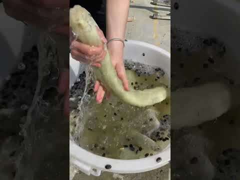 How to use loofah sponge 😱  | #shorts #ytshorts