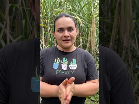 #rietedelavida #humor #yosoymonica #comedia