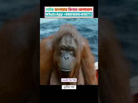 একটি লোক নদীতে ভেসে যায় তার সাথে একটি বাঘ এবং সিম্বা ও থাকে