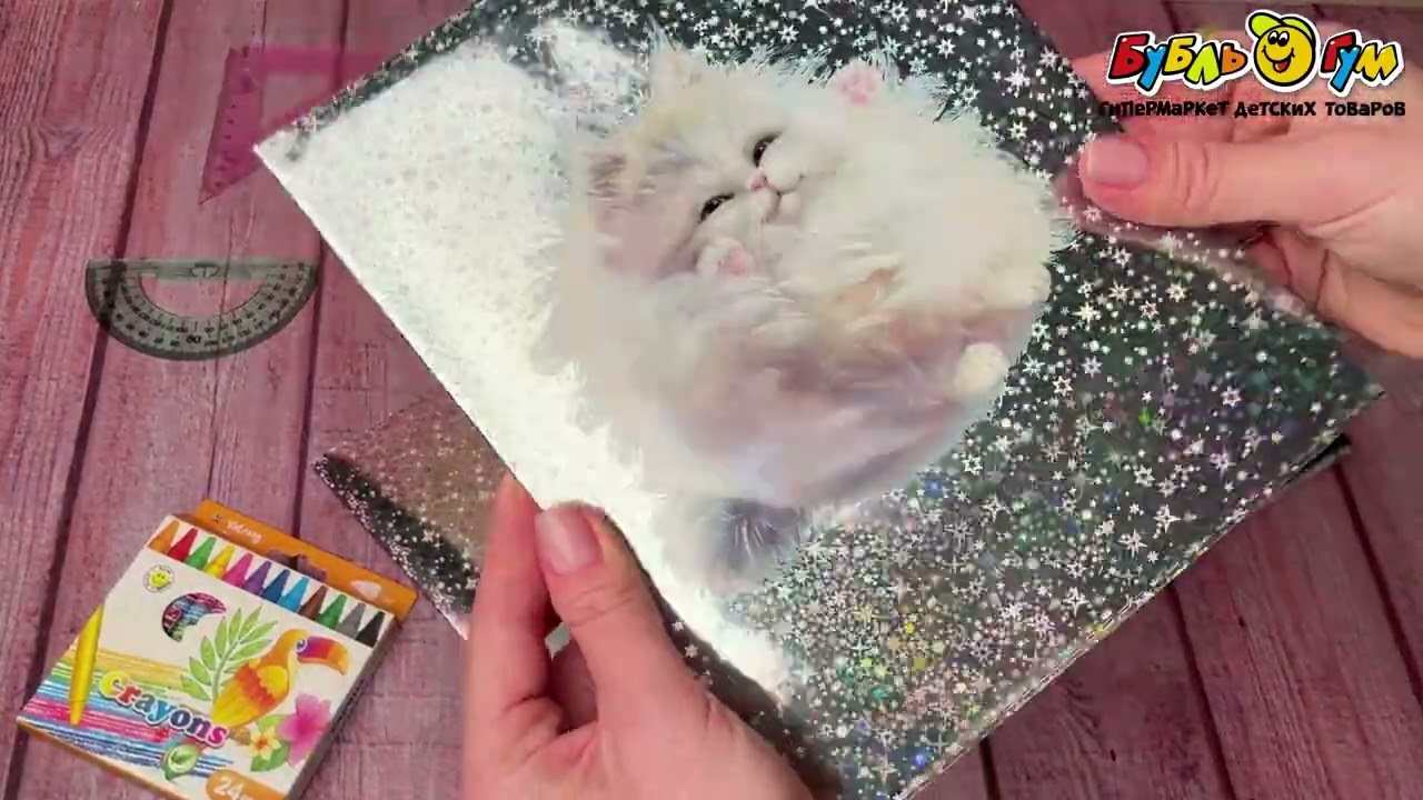 Набор обложек для тетрадей Пухлые коты блестящие 3шт - видео