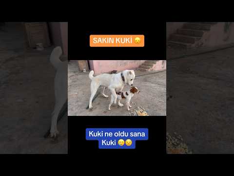 LÜTFEN YAPMA 😂