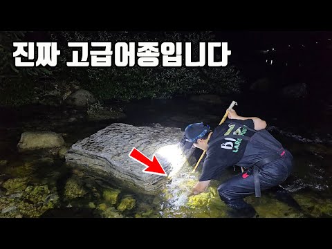 와... 이건 무조건 구워드세요!!! 임금님 수라상에 올라간 이유가 있었네요 ㄷㄷ