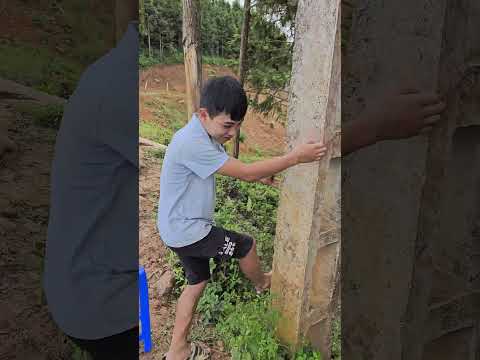 Khoai Sắn kiếm người yêu 😅 #đạica #shortvideo #đạicavlog #shorts