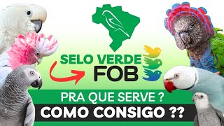  SELO VERDE DA FOB  | O QUE É ? E PRA QUE SERVE 