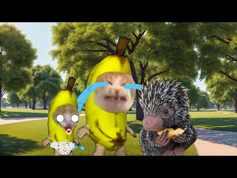 Banana Cat 🍌🐱 Life Series Compilation #19 😸🤭