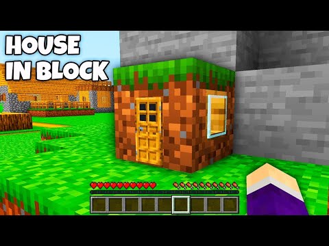 What's INSIDE the TINY HOUSE in the GRASS BLOCK in Minecraft ? SMALLEST HOUSE !