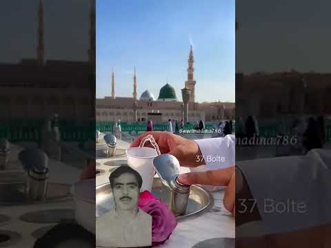 ya Habib Assalamualaika ya rasol Assalamualaika sala wa tula alyka