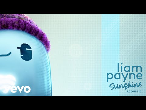 Liam Payne - Sunshine (Acoustic / Visualiser)